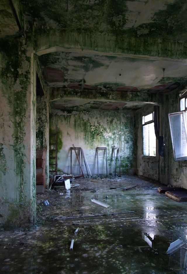 Decaying Hospitals: Unveiling the Forgotten Halls of Healing