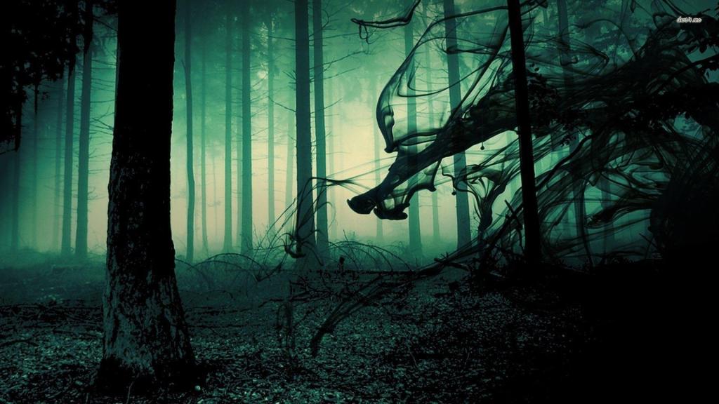 "15 Haunted Forests Around the World That Will Send Chills Down Your Spine"