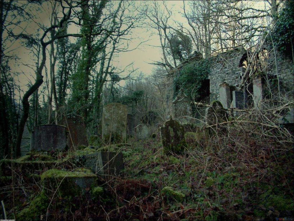 Unearth the Forgotten Beauty: Exploring Overgrown Cemeteries in a Timeless World