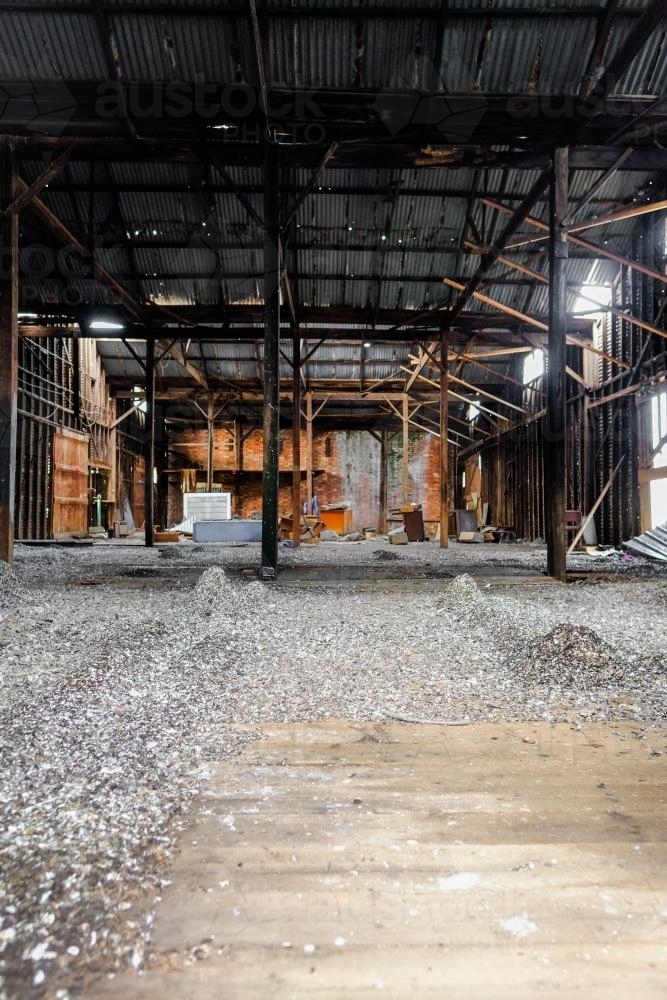 "Nature's Reclamation: Abandoned Warehouses Transformed into Thriving Wildlife Sanctuaries"