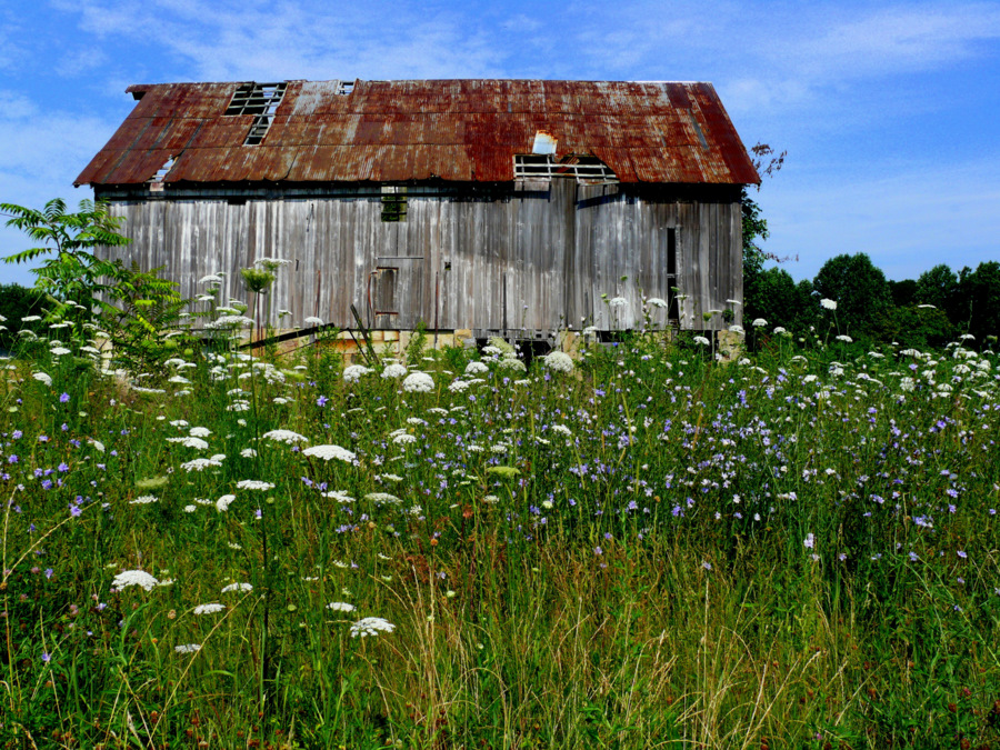 Uncover the Secrets of Decaying Barns: A Guide to Urban Exploration