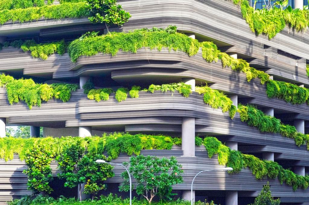 "Rooftop Gardens: Transforming Concrete Jungles into Green Oases"